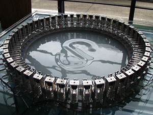 amoeba