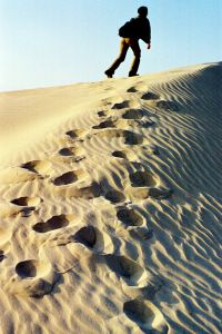 DoFollow Me