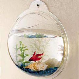 Fishbowl