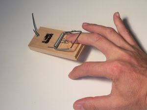 Blogs are mousetraps