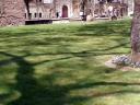 how to make a lawn