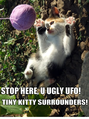 lolcats cute